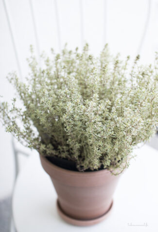 Yllätysväri viehättää