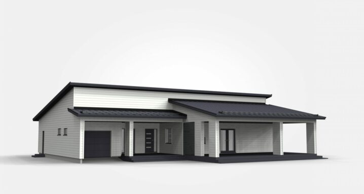 Taloesittely Liedossa 23.3.2019