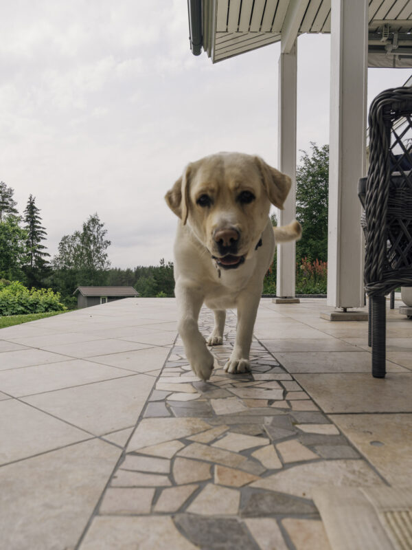 Talo, joka on yhtä komea vielä 37 vuoden jälkeen